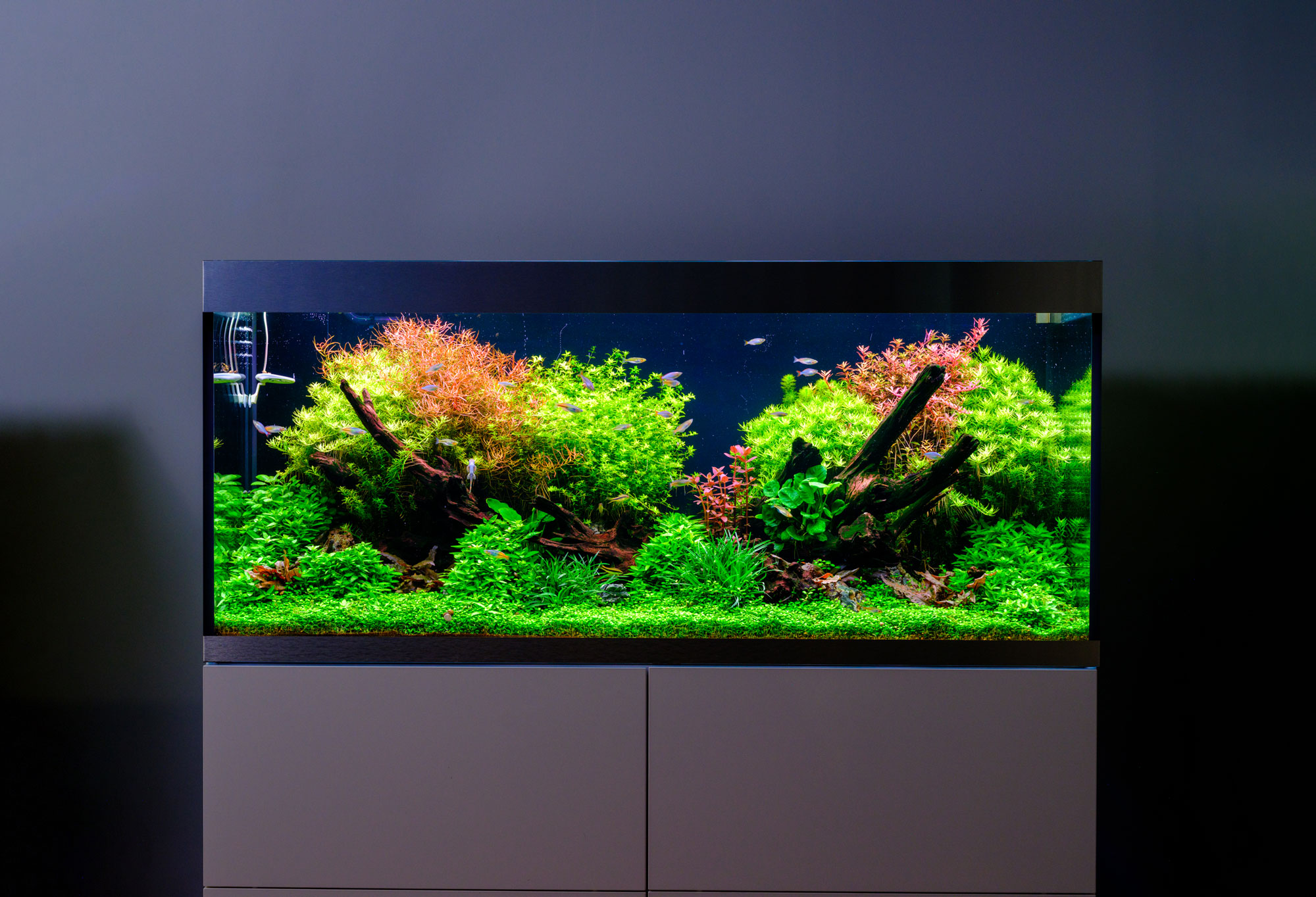 Twinstar G+ Line waterproof WRGB aquarium LED lighting – aquascaping tank with vivid plant growth and natural fish colors