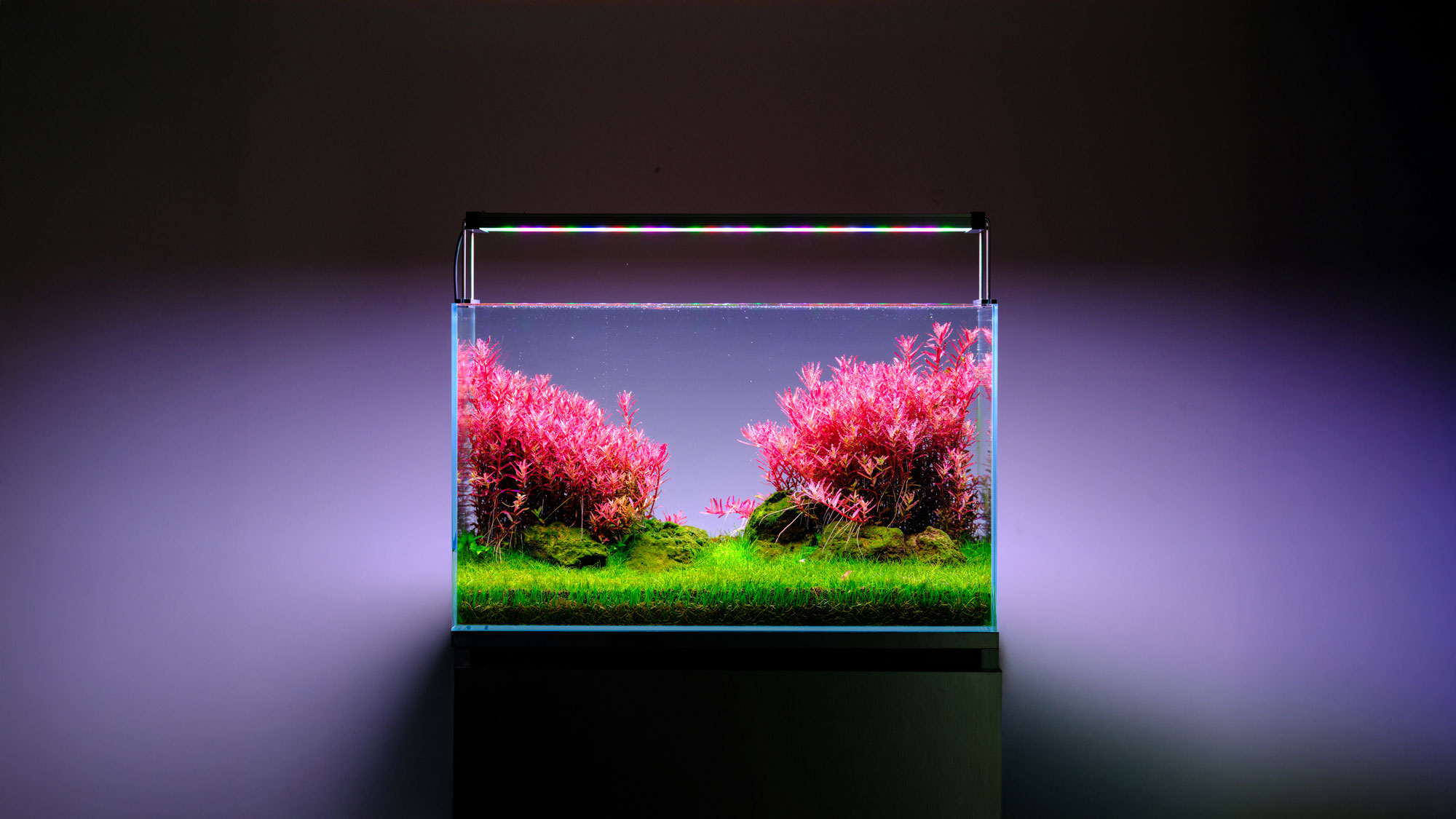 Twinstar S Line WRGB aquarium LED lighting – aquascaping tank with vivid red plants and balanced layout